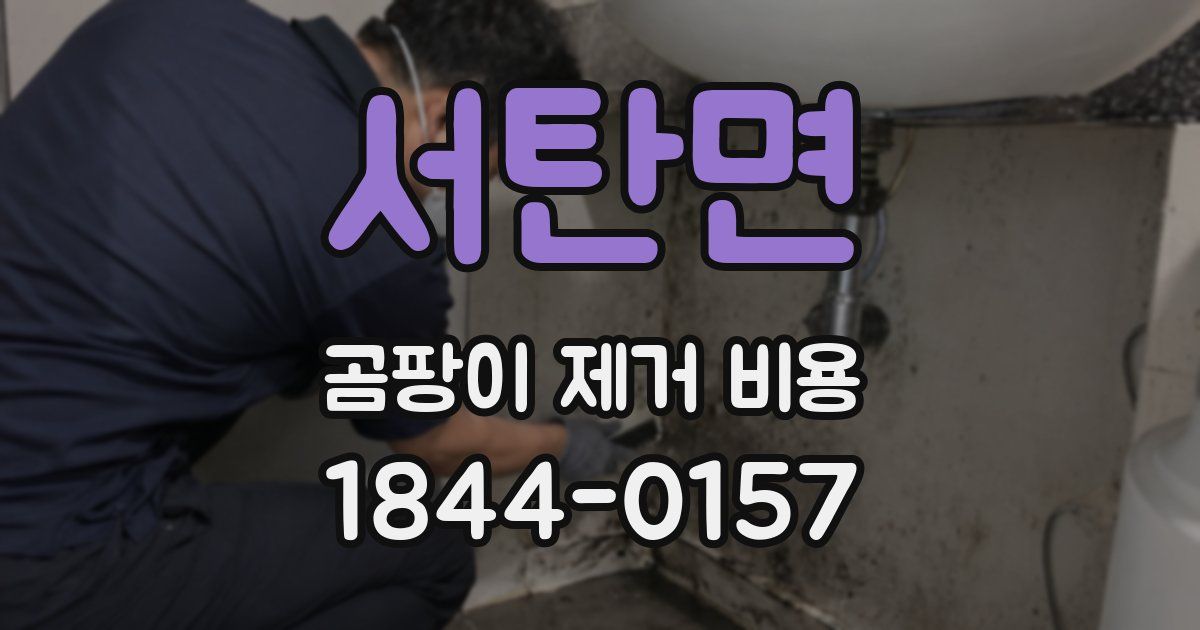 서탄면 곰팡이 제거 비용