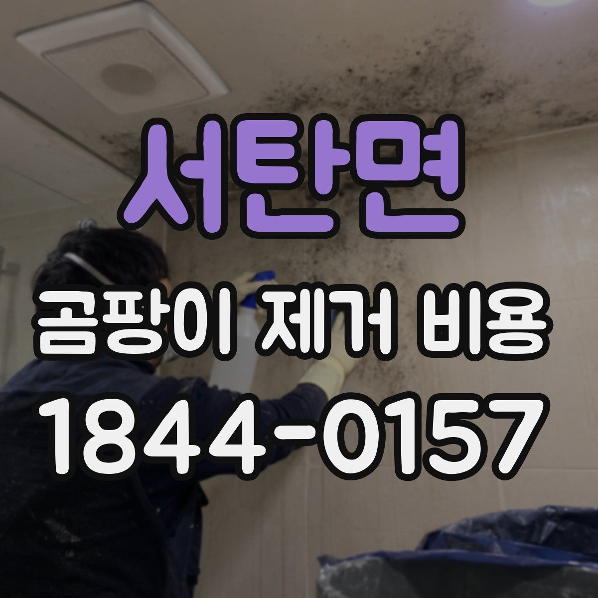 서탄면 곰팡이 제거 비용