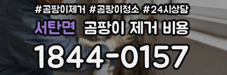서탄면 곰팡이 제거 비용