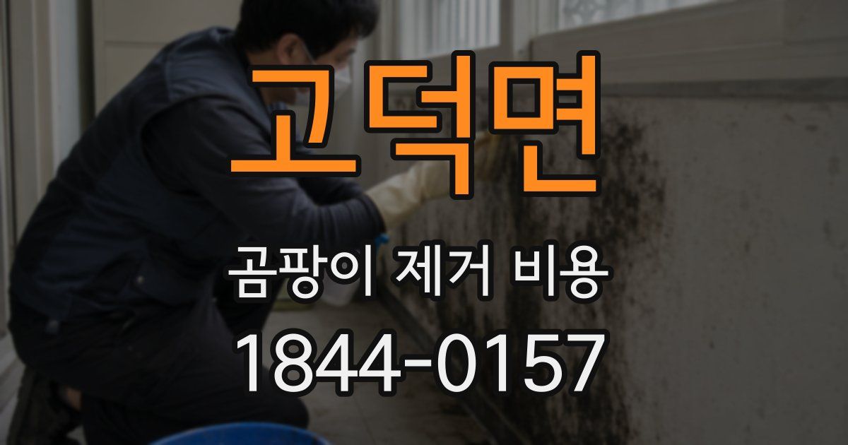 고덕면 곰팡이 제거 비용