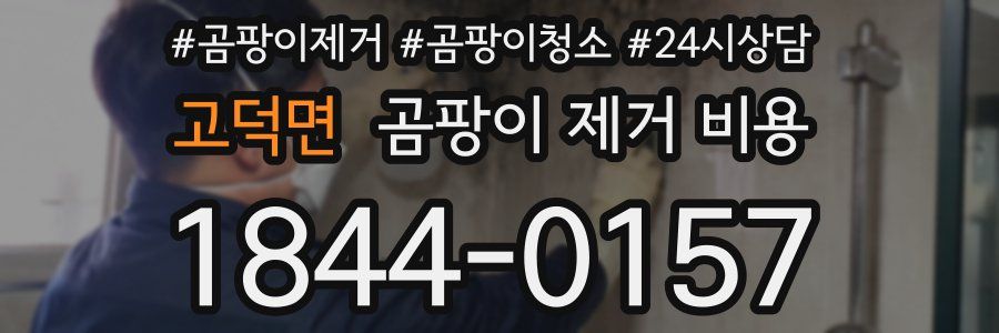 고덕면 곰팡이 제거 비용