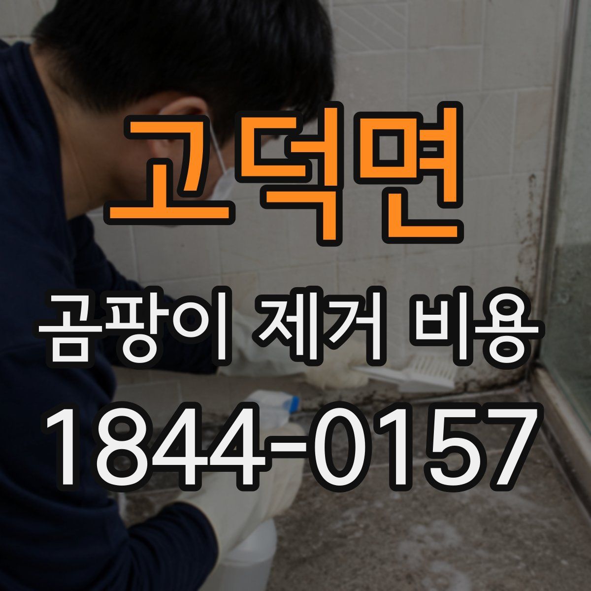 고덕면 곰팡이 제거 비용