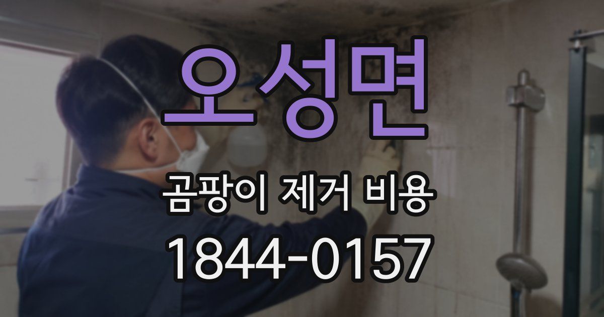 오성면 곰팡이 제거 비용