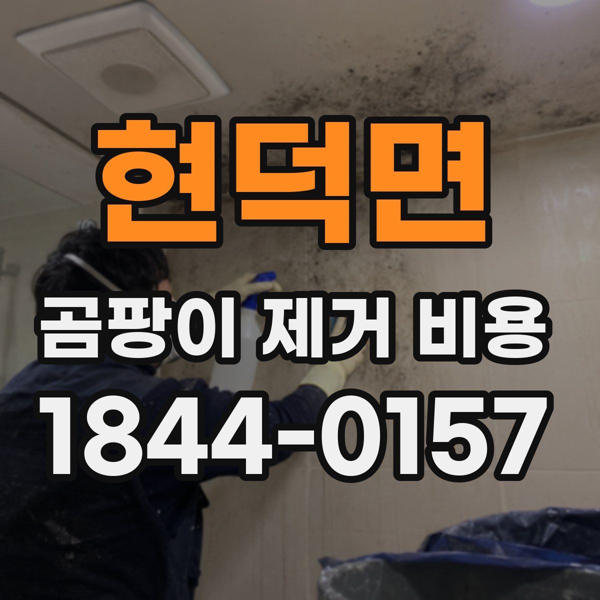 현덕면 곰팡이 제거 비용