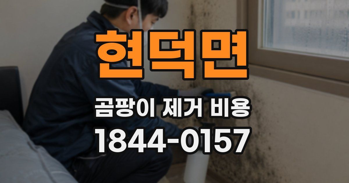 현덕면 곰팡이 제거 비용