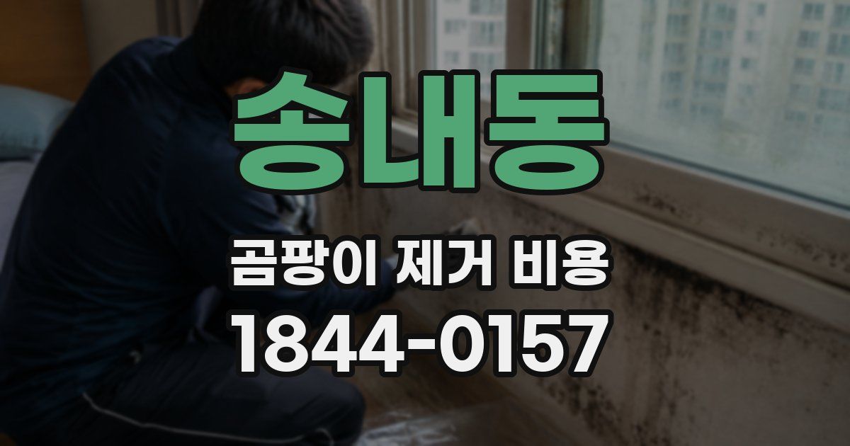 송내동 곰팡이 제거 비용