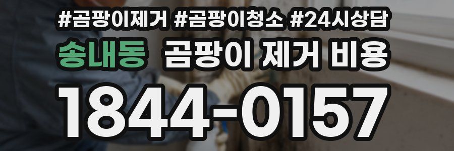 송내동 곰팡이 제거 비용
