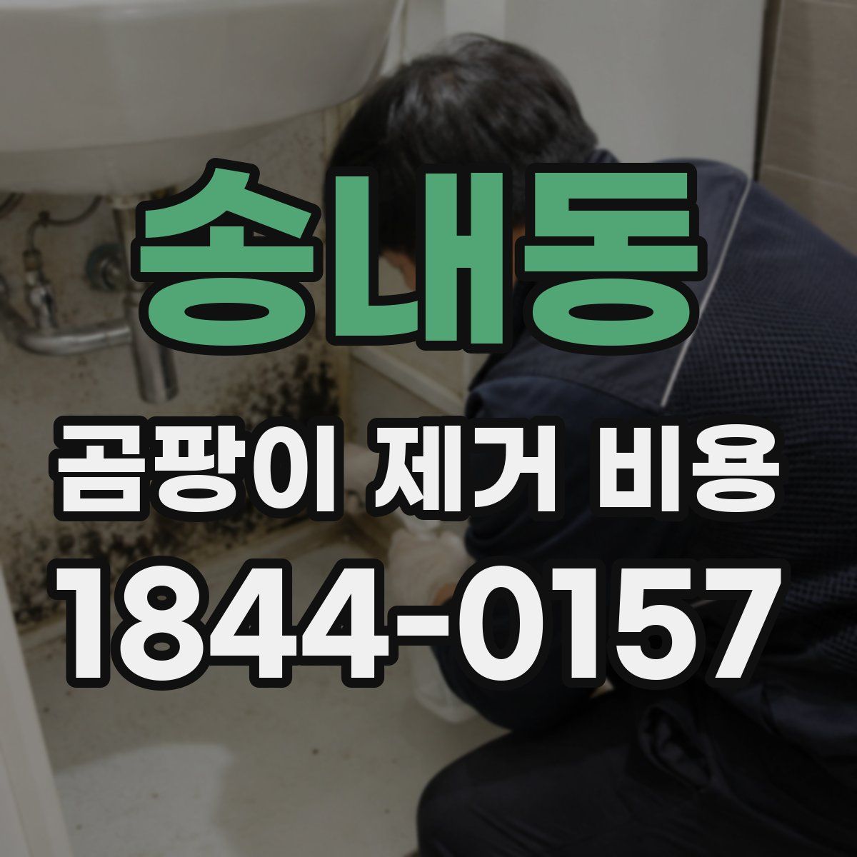 송내동 곰팡이 제거 비용