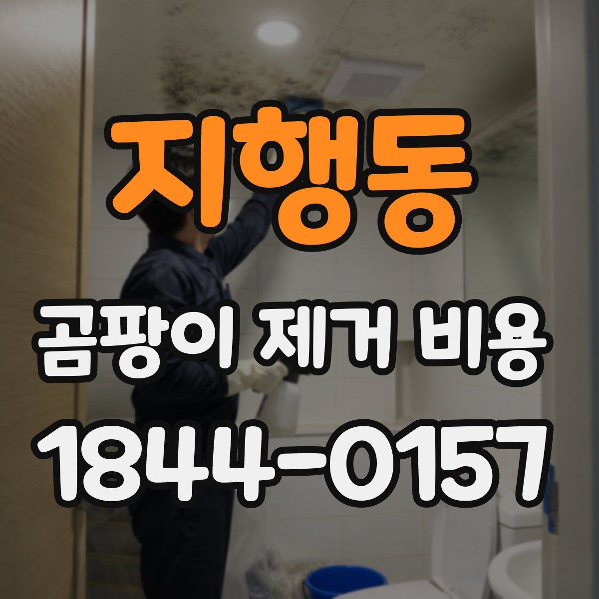 지행동 곰팡이 제거 비용