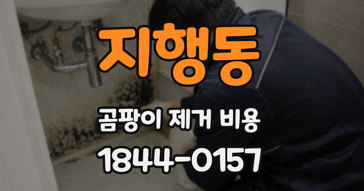 지행동 곰팡이 제거 비용