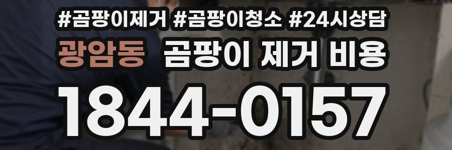 광암동 곰팡이 제거 비용