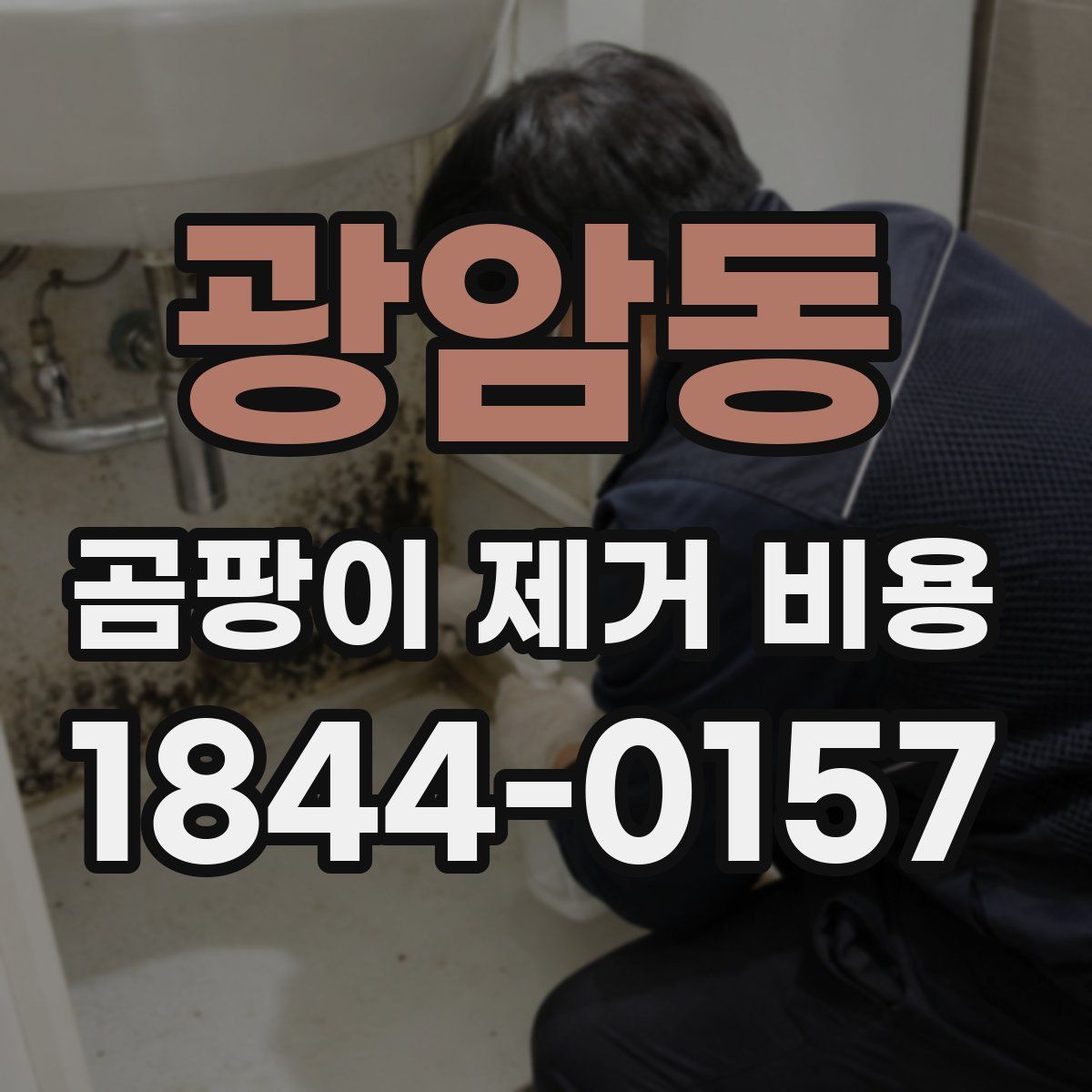 광암동 곰팡이 제거 비용