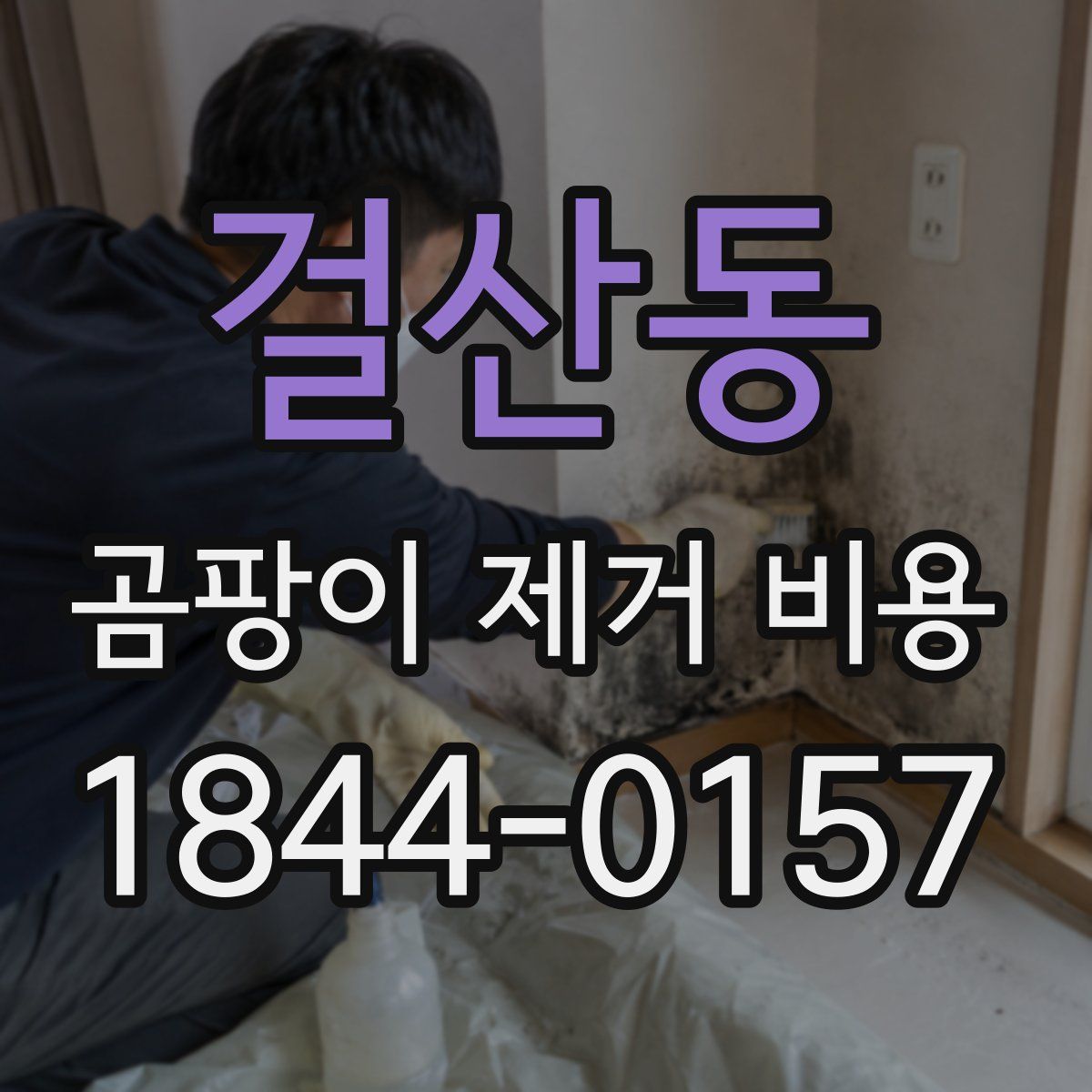걸산동 곰팡이 제거 비용