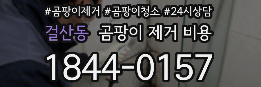 걸산동 곰팡이 제거 비용
