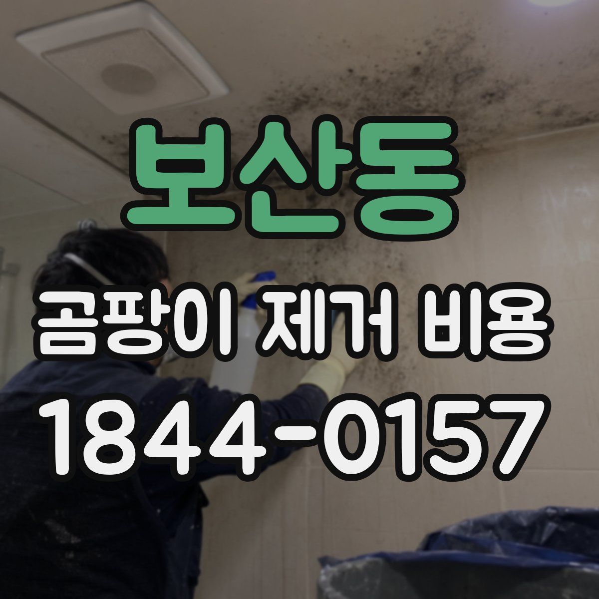 보산동 곰팡이 제거 비용
