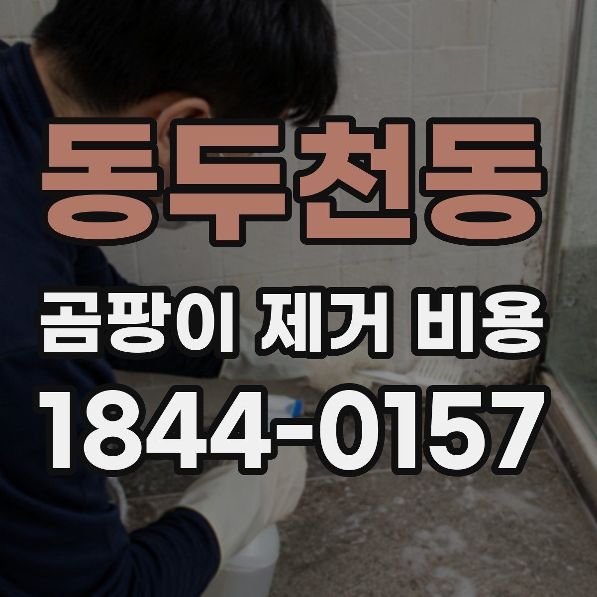 동두천동 곰팡이 제거 비용 욕실 천장 오염이 넓을 때 견적 포인트