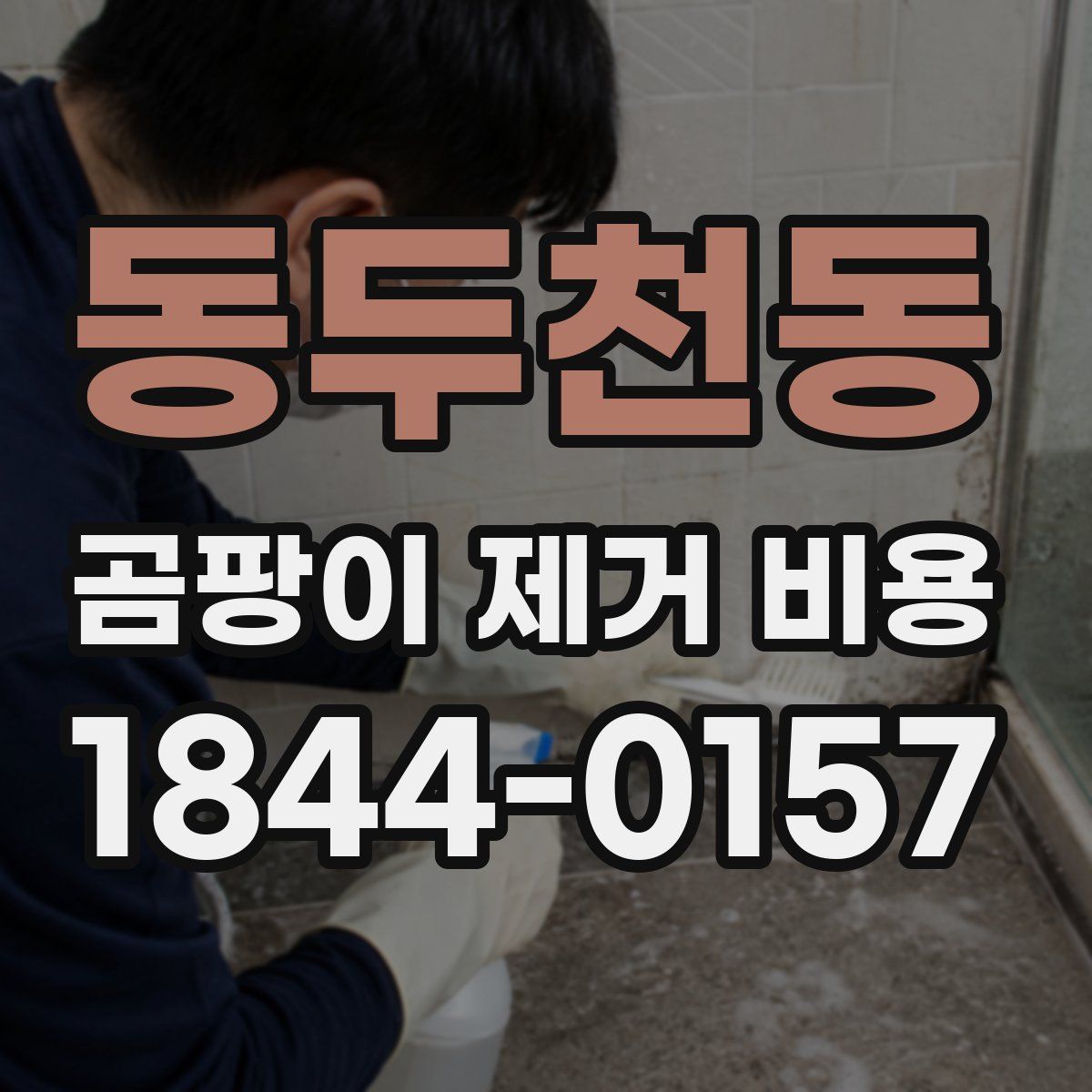 동두천동 곰팡이 제거 비용