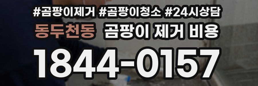 동두천동 곰팡이 제거 비용