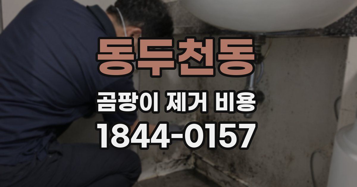 동두천동 곰팡이 제거 비용