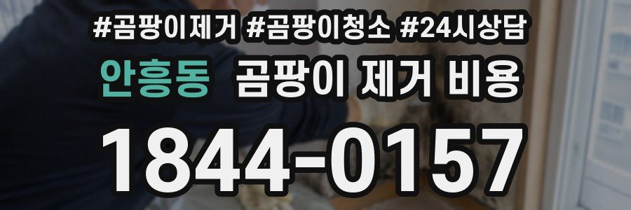 안흥동 곰팡이 제거 비용