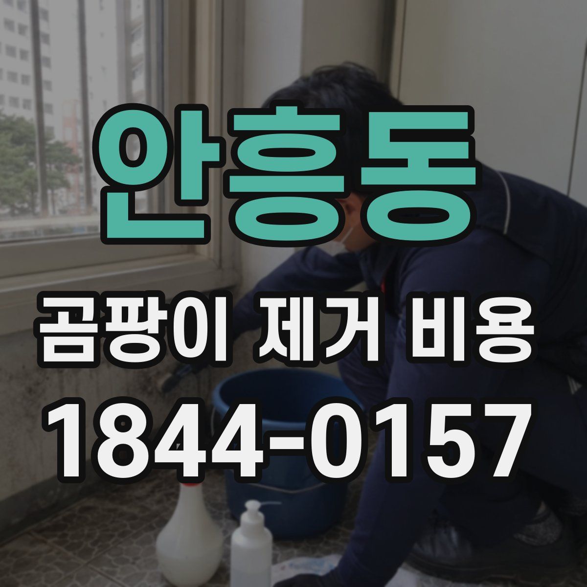 안흥동 곰팡이 제거 비용