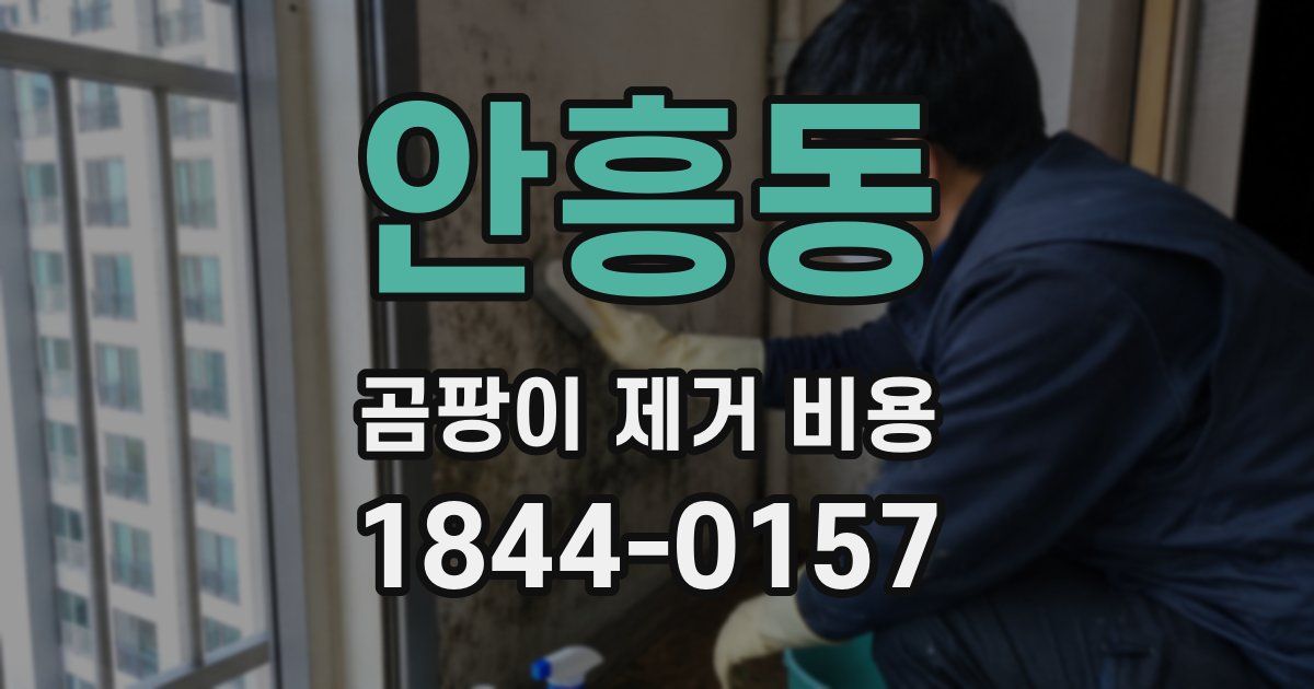 안흥동 곰팡이 제거 비용