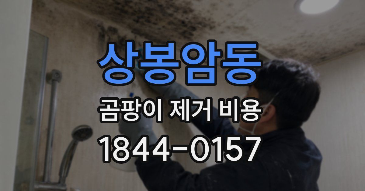 상봉암동 곰팡이 제거 비용