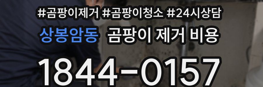 상봉암동 곰팡이 제거 비용