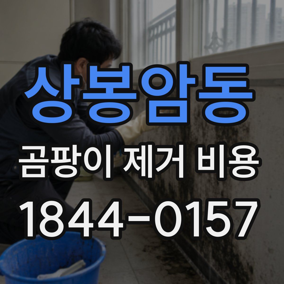 상봉암동 곰팡이 제거 비용