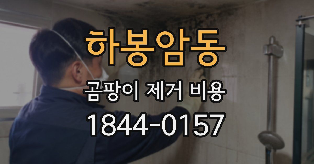 하봉암동 곰팡이 제거 비용