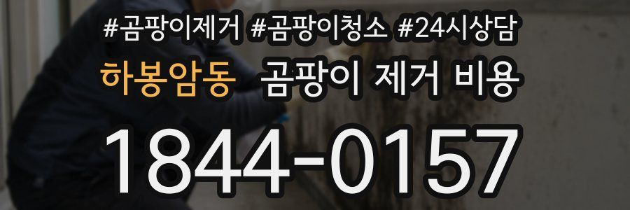 하봉암동 곰팡이 제거 비용