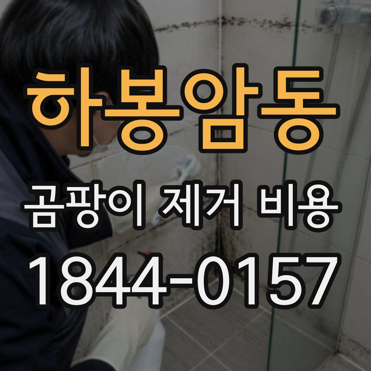 하봉암동 곰팡이 제거 비용