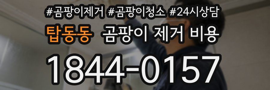 탑동동 곰팡이 제거 비용