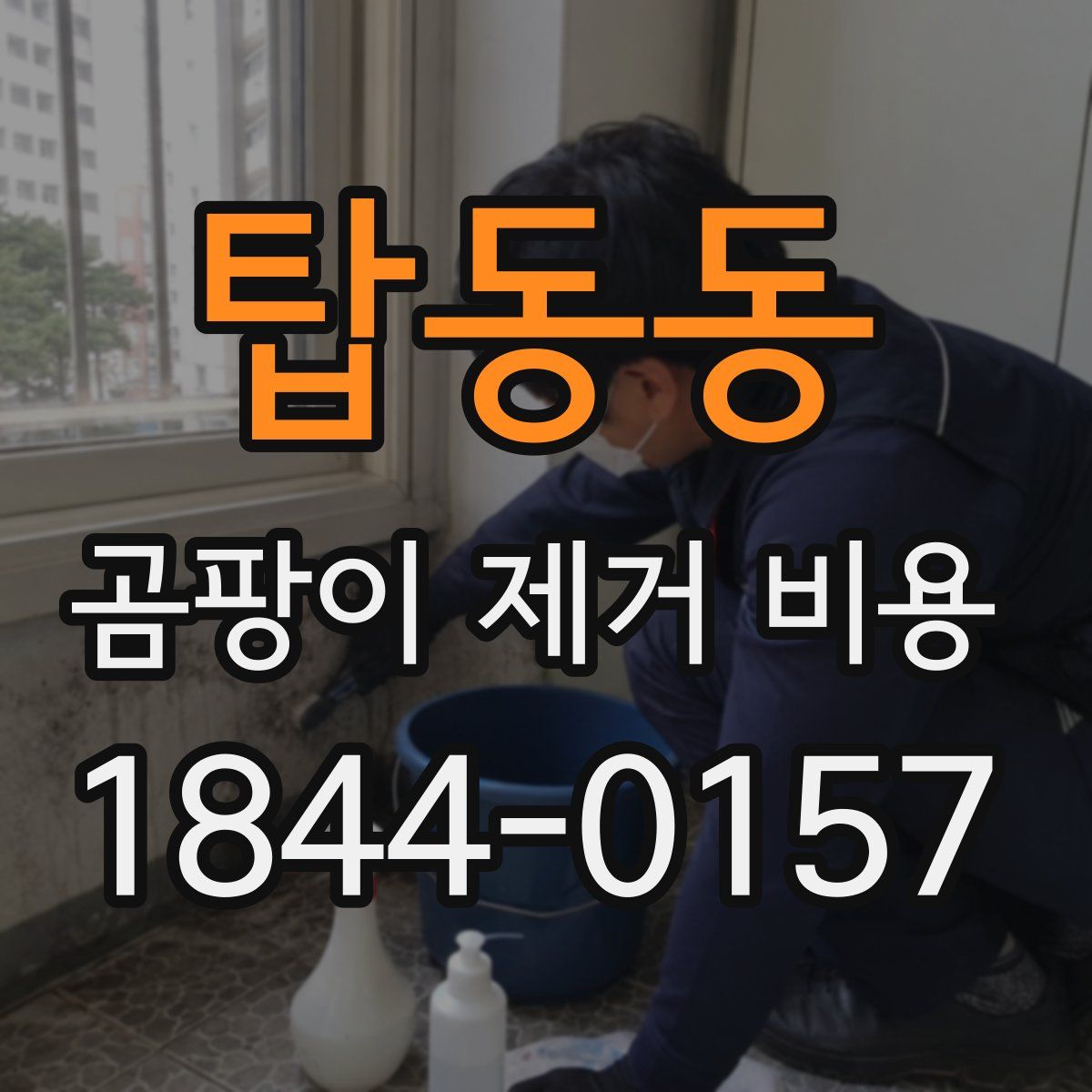 탑동동 곰팡이 제거 비용