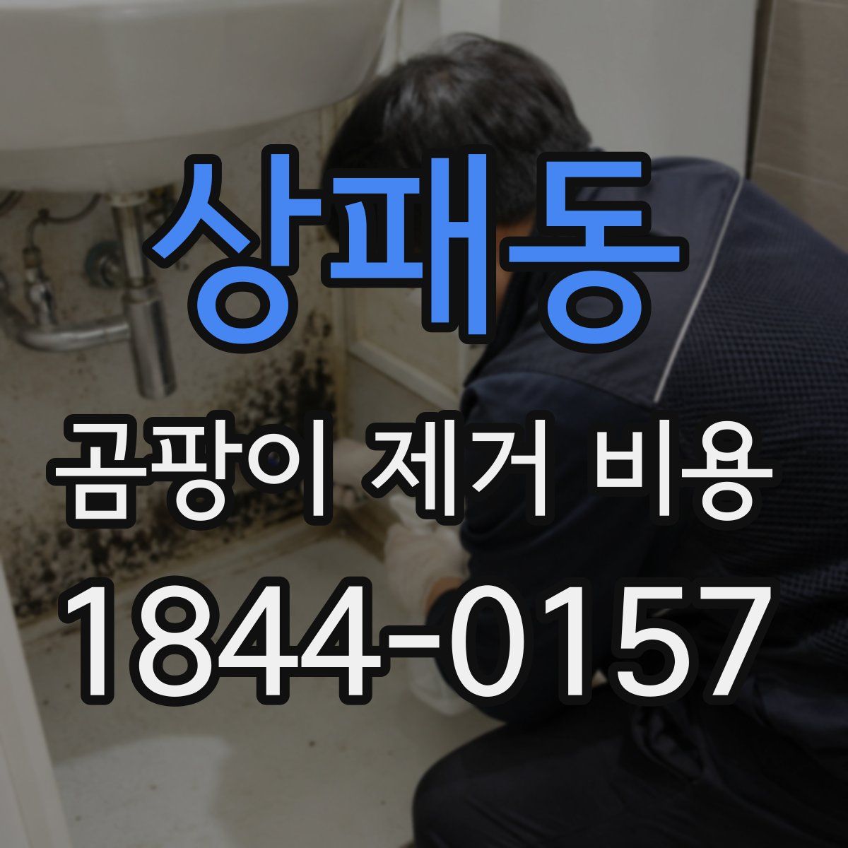 상패동 곰팡이 제거 비용