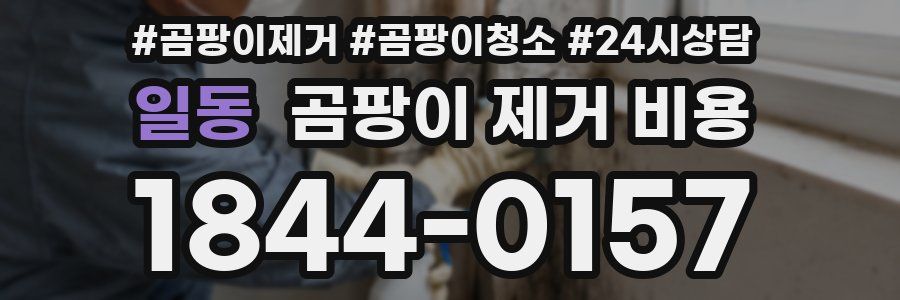 일동 곰팡이 제거 비용