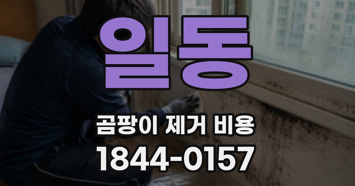 일동 곰팡이 제거 비용