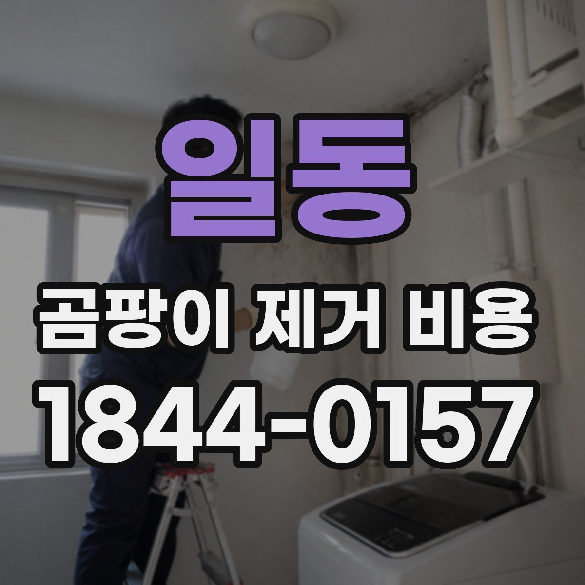일동 곰팡이 제거 비용