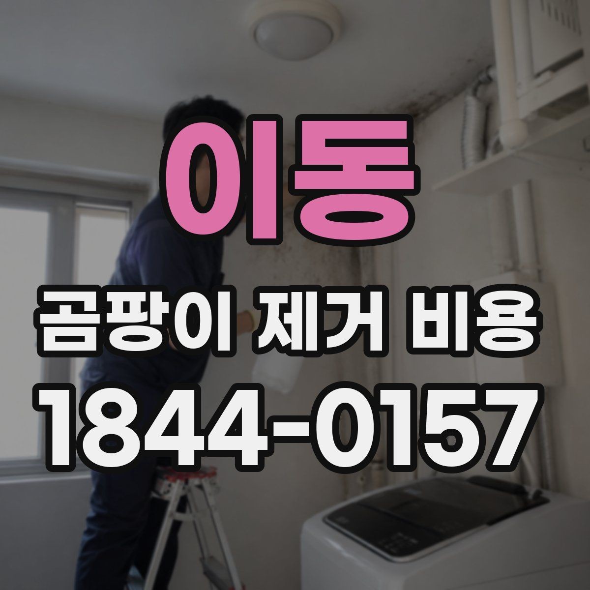 이동 곰팡이 제거 비용 실리콘과 줄눈 철거 범위에 따른 차이