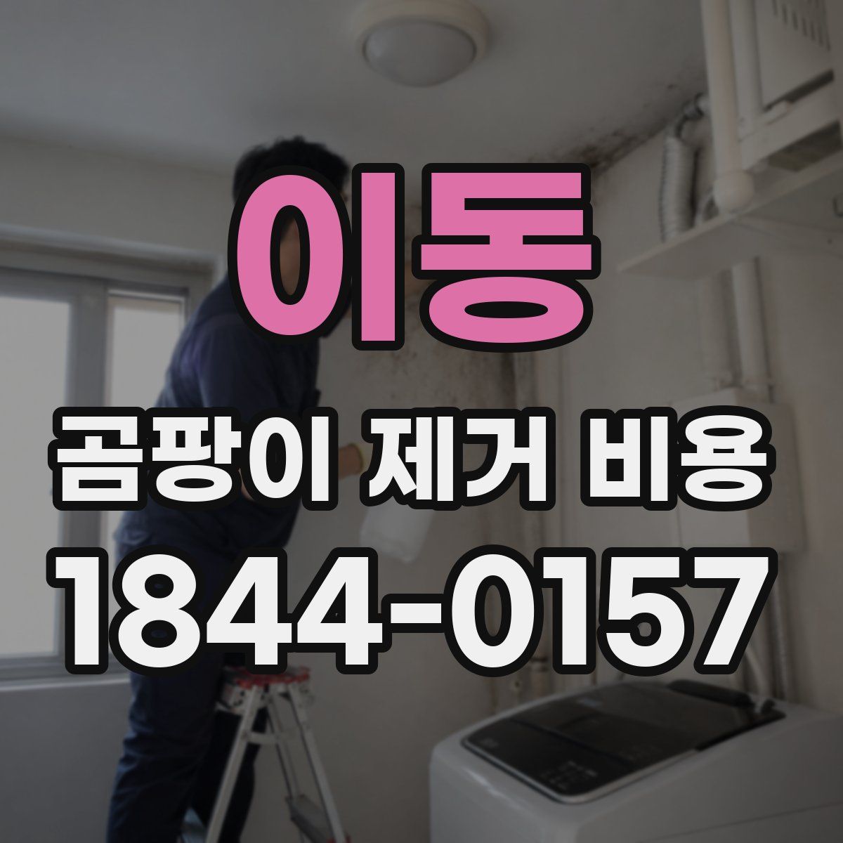 이동 곰팡이 제거 비용
