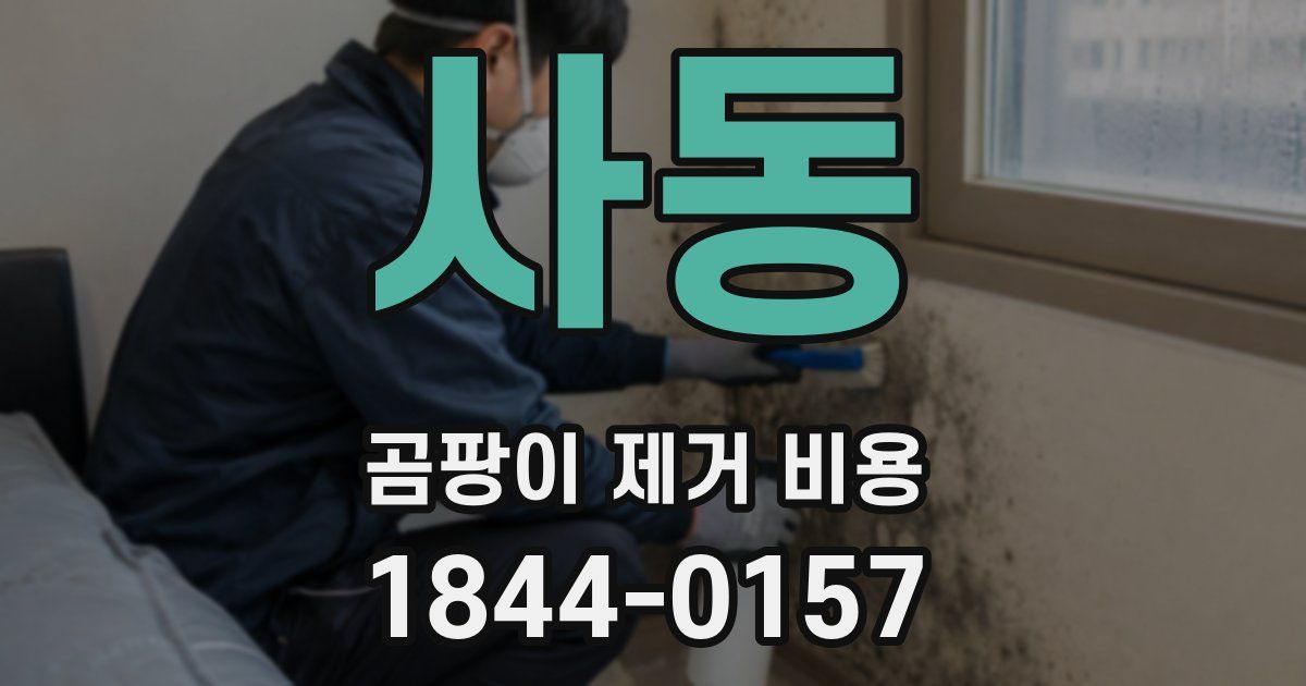 사동 곰팡이 제거 비용