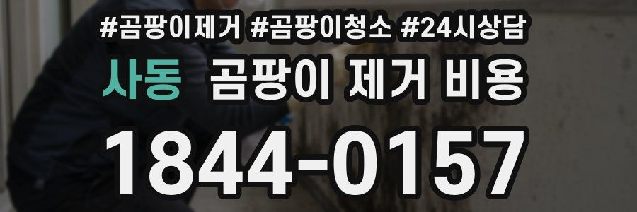 사동 곰팡이 제거 비용