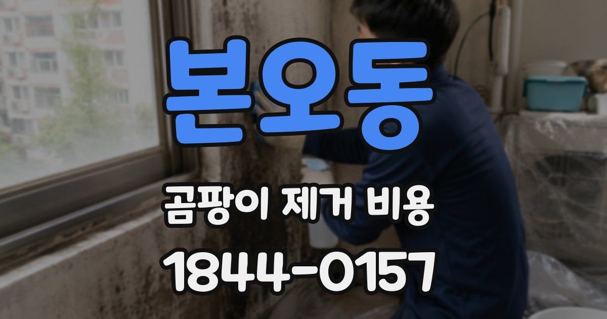본오동 곰팡이 제거 비용