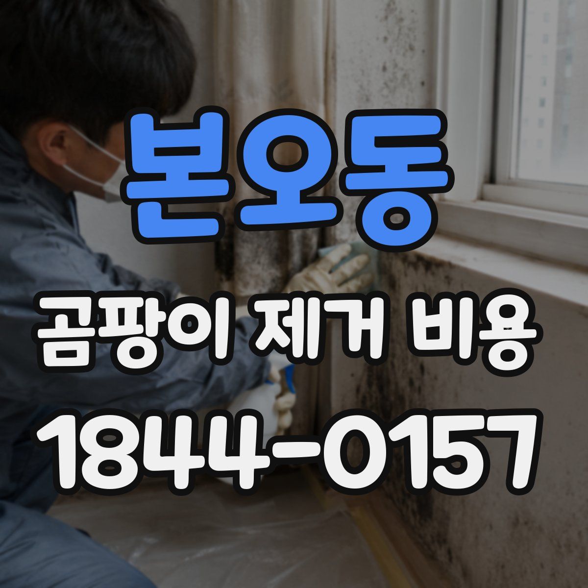 본오동 곰팡이 제거 비용