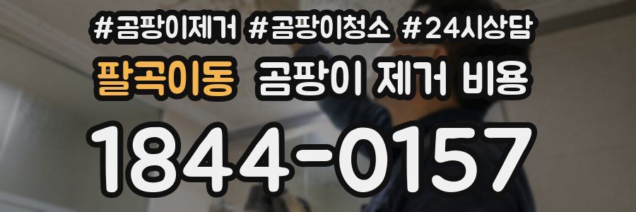 팔곡이동 곰팡이 제거 비용