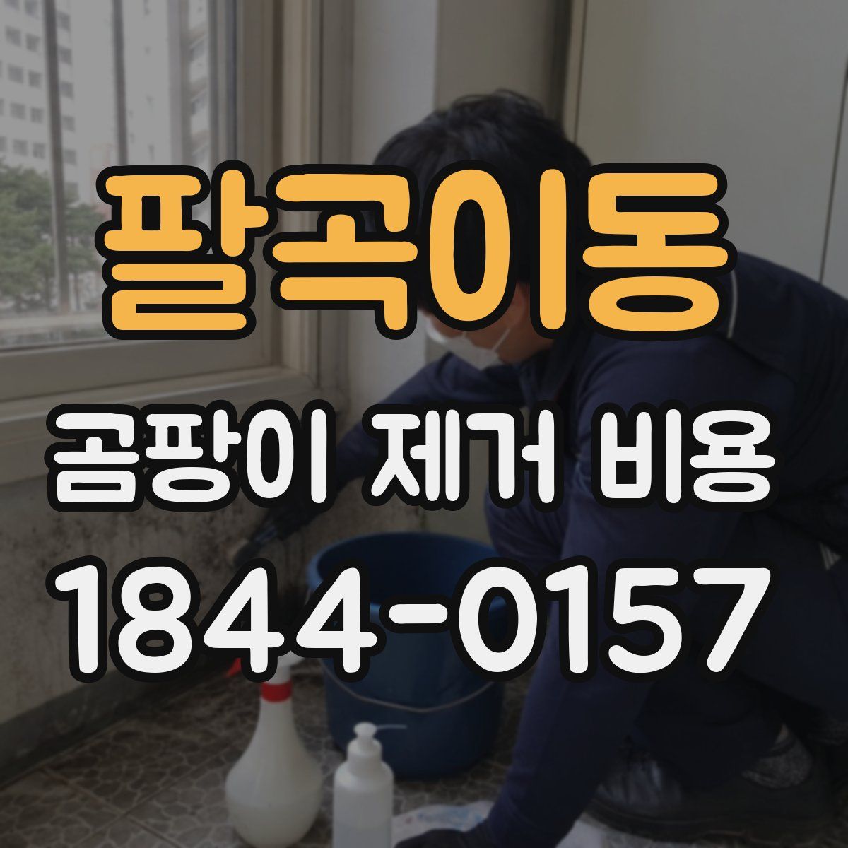 팔곡이동 곰팡이 제거 비용