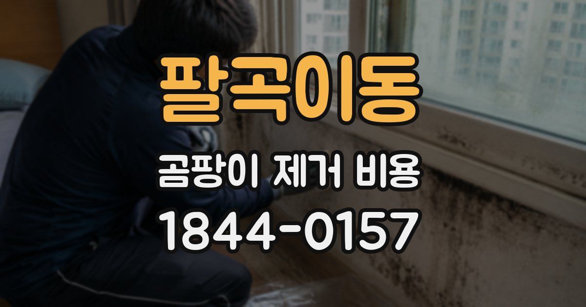 팔곡이동 곰팡이 제거 비용