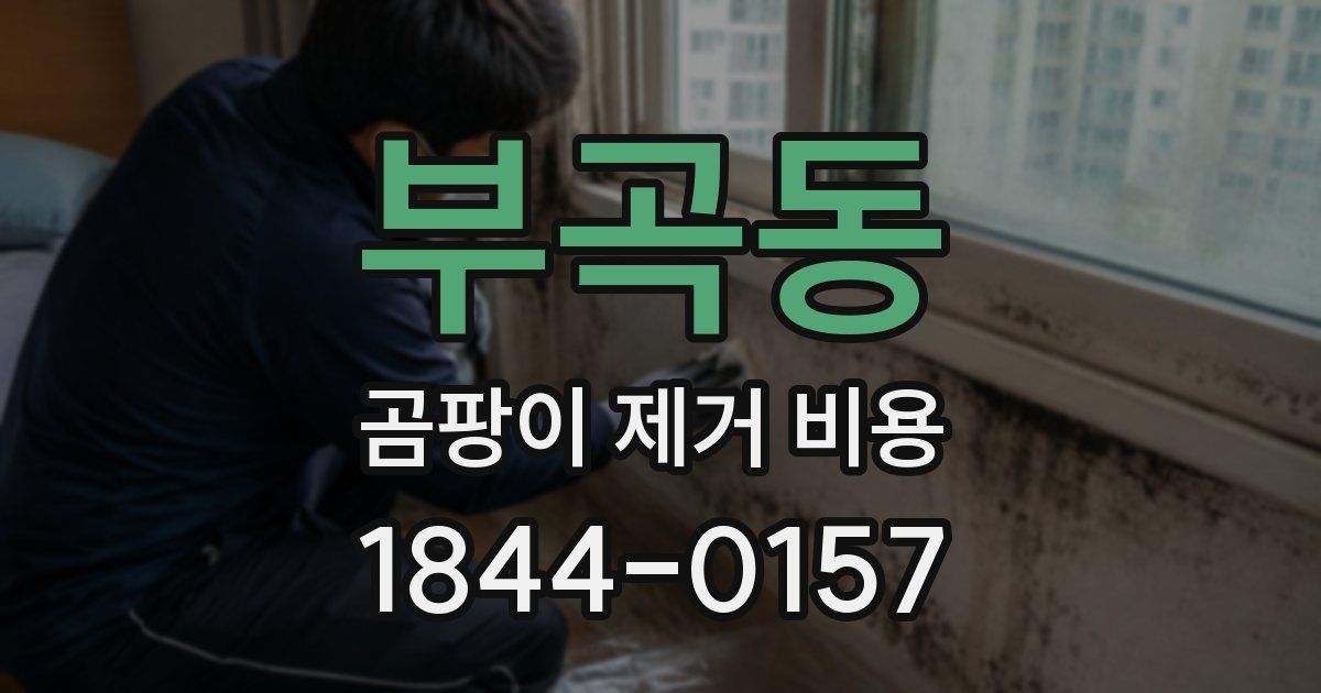 부곡동 곰팡이 제거 비용