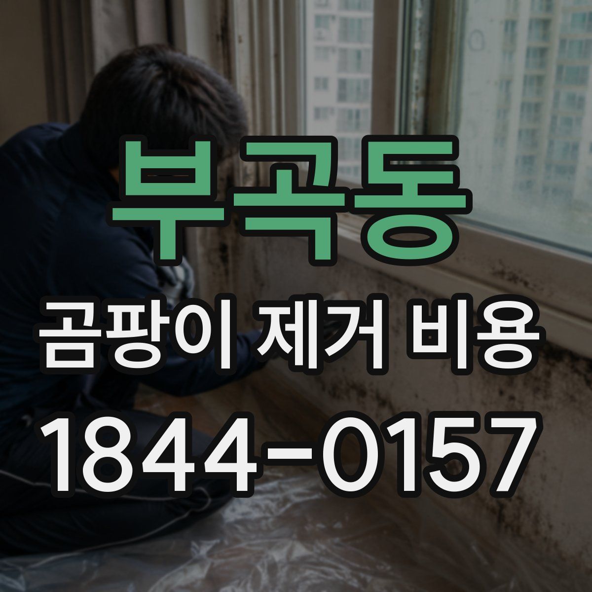 부곡동 곰팡이 제거 비용