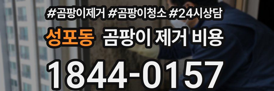 성포동 곰팡이 제거 비용